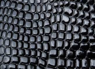 Black Crocodile leather texture background,depth of field.