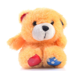 Teddy bear isolated on a white background