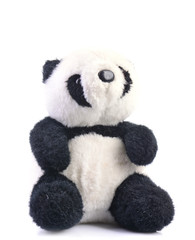 Bear panda on white background