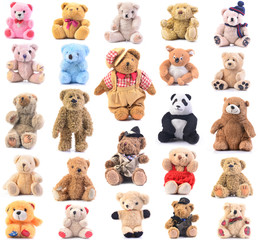 Obraz premium Teddy bear collection