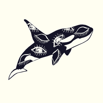 Killer whale with open and closed eyes with long lashes print on skin, hand drawn doodle sketch, isolated vector outline illustration
