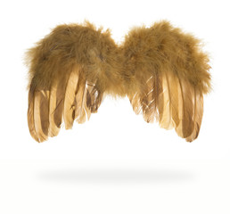 Yellow angle wings on white background