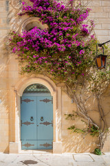 Fototapeta premium Door and flower