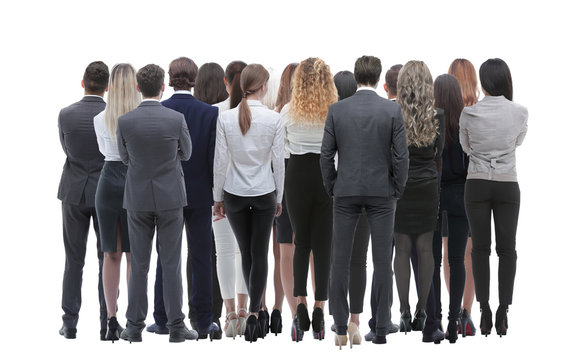 Back View Group Of Business People. Rear View. Isolated Over White Background.