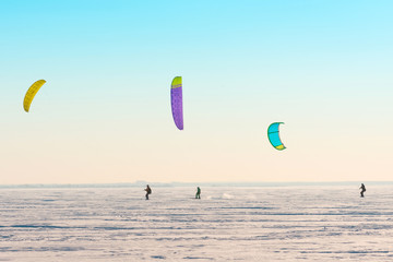 Three Kitesurfers ride the parachute in the wind among the snow in winter before sunset.