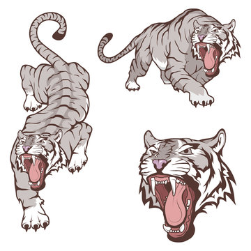 Tiger set, isolated on white background, colour illustration, suitable as logo or team mascot. Bengal Tiger.