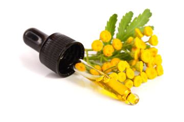 essential tansy oil with flowers and leaf isolated on white background