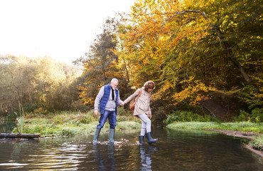 Fototapeta premium Senior couple on a walk in autumn nature.