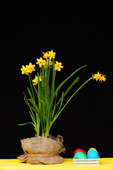 Flowers in sackcloth pot on yellow table by Easter eggs.