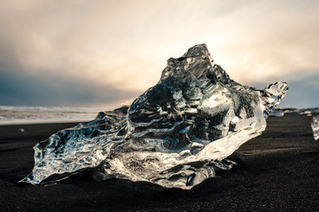 Ice on the black volcanic beach near Jokulsarlon glacier lagoon, winter Iceland. Detail of a glacial fragment of ice at black sand beach in beautiful evening light. © 1tomm