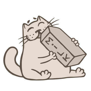 Cartoon cat drinks a box of milk. Vector illustration