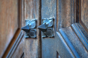 ancient doors - close up view