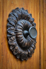 ancient doors - close up view