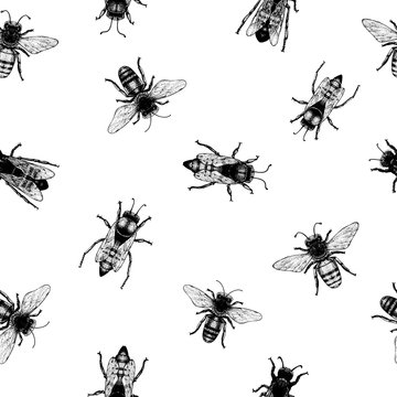 Vector retro hand drawn seamless pattern with crawling bees. Vintage style. Inteligent illustration