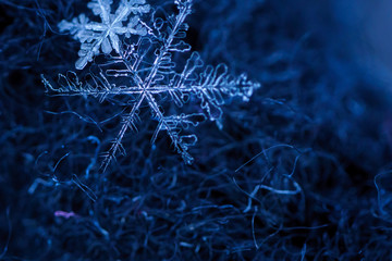 Beautiful detail of a snowflake, a single ice crystal in Paris winter, falls through the Earth's atmosphere as snow. Shining hexagonal crystals shape, used as a symbol of snow or crystal in science