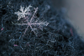 Beautiful detail of a snowflake, a single ice crystal in Paris winter, falls through the Earth's atmosphere as snow. Shining hexagonal crystals shape, used as a symbol of snow or crystal in science
