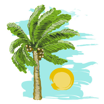 Palm tree sketch and sun on blue background.