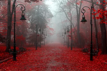 Gordijnen Mooie herfst in rode kleuren © pavlofox