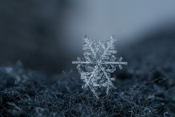 Beautiful snowflake, a single ice crystal in a sufficient size, falls through the Earth's...