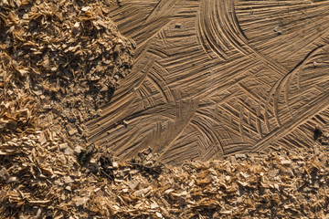 Holzmuster mit Sägespänen