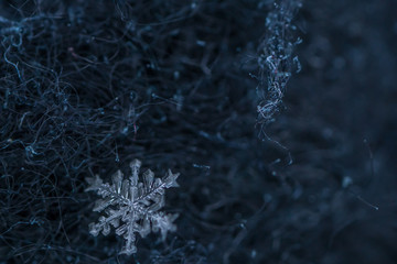 Beautiful snowflake, a single ice crystal in a sufficient size, falls through the Earth's...