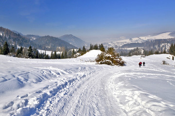 Fototapeta na wymiar Winter landscape in Pieniny mountains, Poland