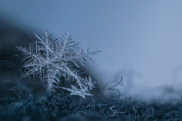 Beautiful snowflake, a single ice crystal in a sufficient size, falls through the Earth's atmosphere as snow. Often in shining hexagonal crystals shape. Taken In Paris during winter with shallow DOF.