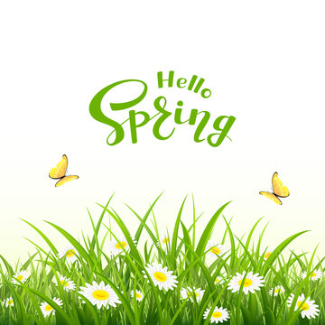 Lettering Hello Spring and natural background with butterfly and flowers
