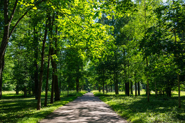 View of city park