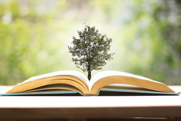 A book with trees sprouting in the concept of education about reading knowledge. And the concept of...