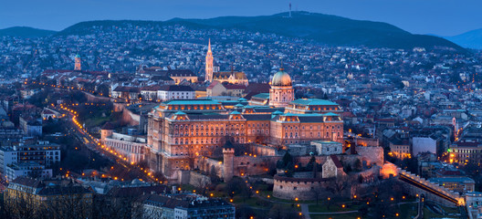 Royal castle in Budapest night panorama