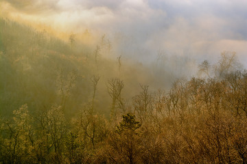 Wooded hill slopes with low clouds in autumn