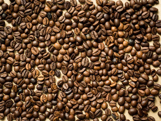 Coffee background of coffee beans and anise stars, copy space, top view.