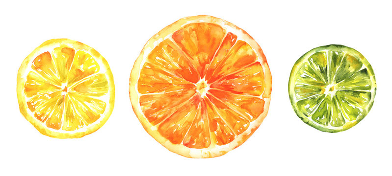 Watercolour citrus fruits, lemon, orange and lime, hand drawing, isolated on white