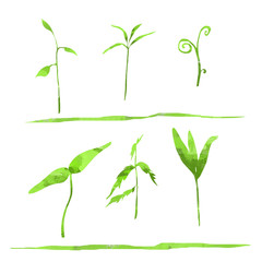 Fresh green watercolor sprouts sketch