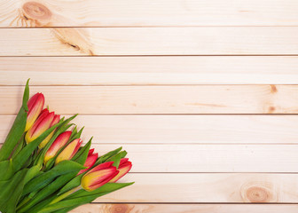 Fresh tulips on a background of light wooden boards
