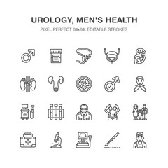 Urology vector flat line icons. Urologist, bladder, kidneys, adrenal glands, prostate. Linear medical pictograms with editable stroke for clinic, potency problem. Pixel perfect 64x64.