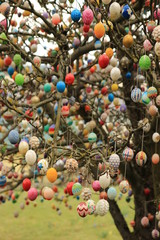 Easter eggs on the tree  © vitaprague