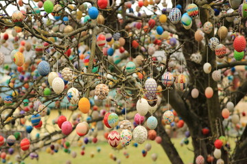 Easter eggs on the tree  - 194975039