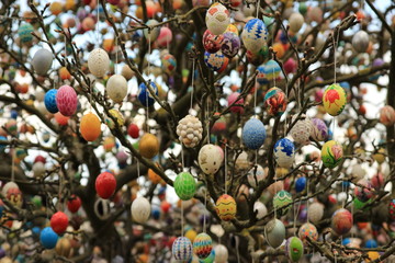 Easter eggs on the tree 