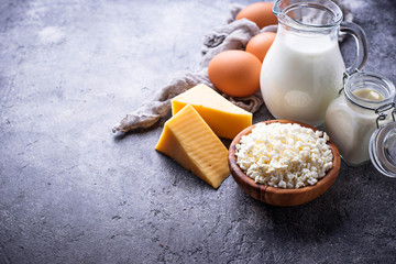 Assortment of various dairy products.