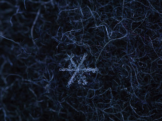 Beautiful detail of a snowflake, a single ice crystal in Paris winter, falls through the Earth's atmosphere as snow. Shining hexagonal crystals shape, used as a symbol of snow or crystal in science