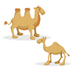 Cartoon trendy style camels set. Dromedary camel and bactrian. Closed eyes and cheerful mascots. Vector wildlife illustrations.
