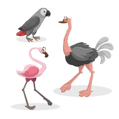 Cartoon trendy style african birds  set. Grey parrot, ostrich and flamingo. Closed eyes and cheerful mascots. Vector wildlife illustrations.