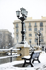 Fototapeta premium Bari under the snow