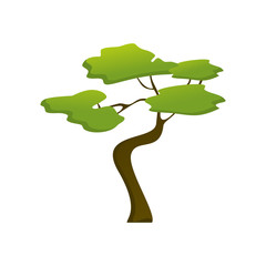 African Isolated Jungle Tree Plant Illustration