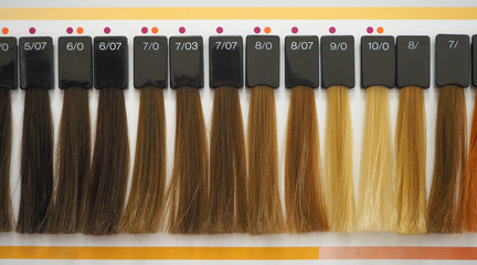 Hair coloring. Color palette.   © sablinstanislav