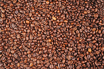 Coffee bean as background 