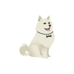 Cute fluffy little dog sitting straight, three quarters full length portrait, flat cartoon vector illustration isolated on white background. White fluffy dog, puppy character sitting and looking up