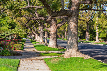 A shot of quiet Beverly Hills Road, Los Angeles